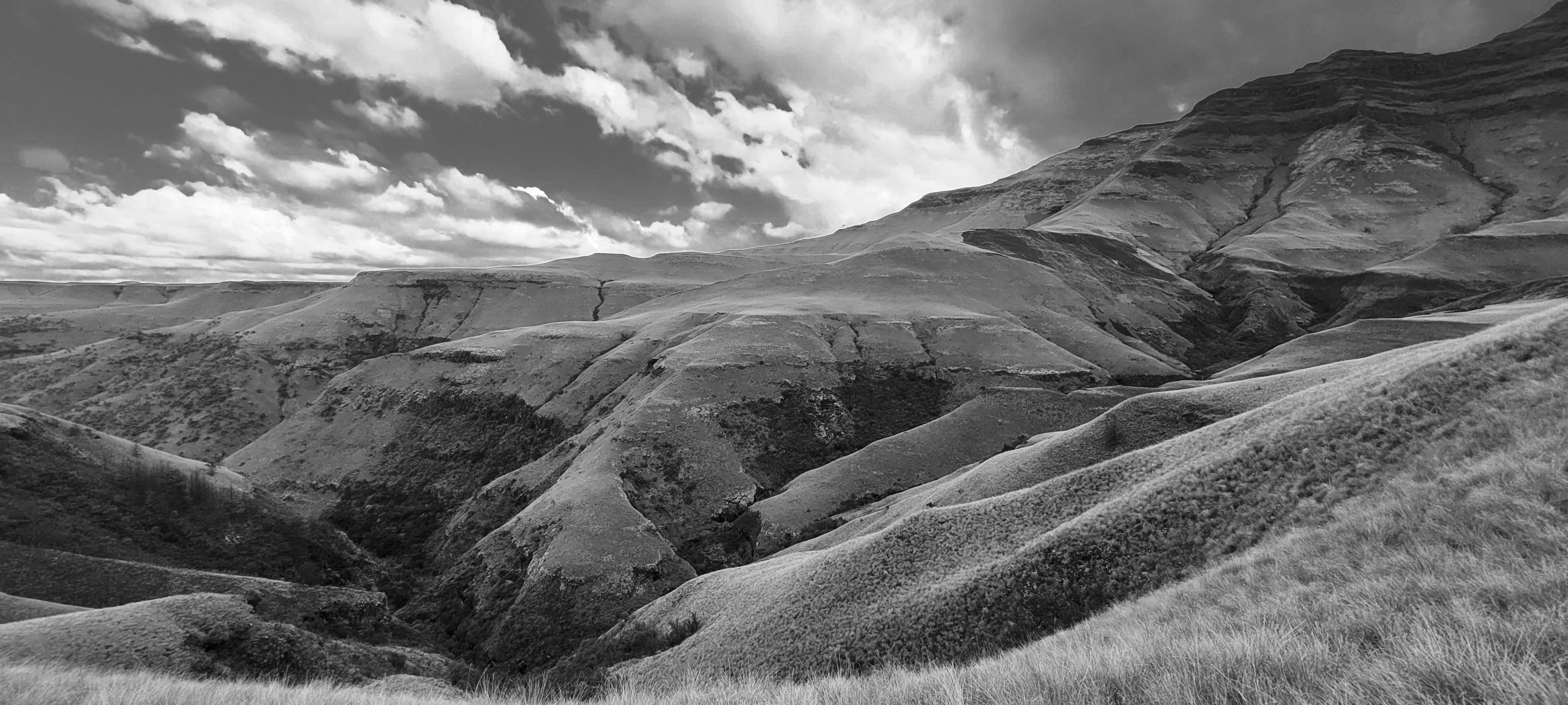 GYT 20220624 141027 20220624 141027